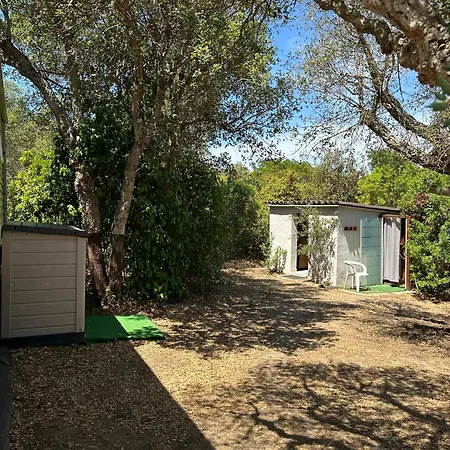 Mobil-home U Forconu * Pianottoli-Caldarello (Corsica)