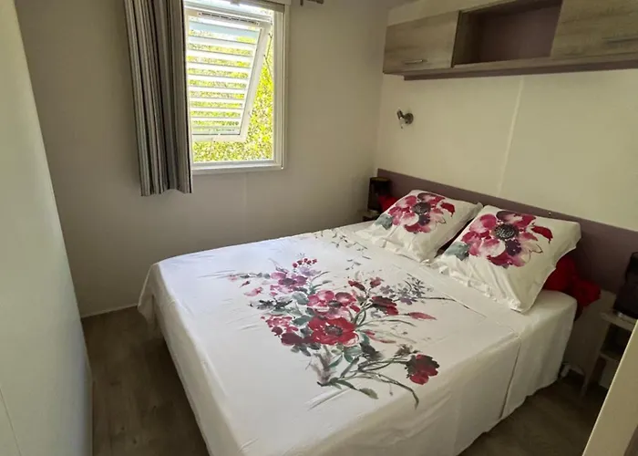 Mobil-home U Forconu Chalet